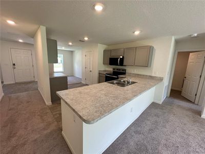 New construction Single-Family house 48 Rippling Brook Dr, Palm Coast, FL 32164 plan Alexander - image 4