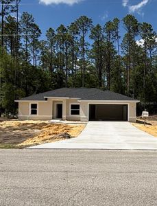 New construction Single-Family house 2463 Nw Holly Rd, Dunnellon, FL 34431 - image