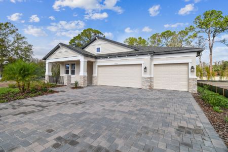 New construction Single-Family house 20219 Oriana Loop, Land O' Lakes, FL 34638 Corina  III- photo 124 124