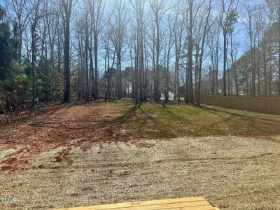 New construction Single-Family house 132 Prairie Dog Dr, Louisburg, NC 27549 null- photo 12 12