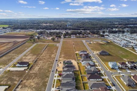 New construction Single-Family house 38433 Pindos Dr, Dade City, FL 33525 Mira Lago- photo 171 171