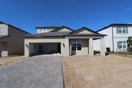 New construction Single-Family house 38413 Pindos Dr, Dade City, FL 33525 Picasso Bonus- photo 115 115