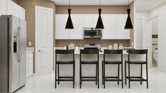 The Estates at Lotis Wellington: The Townhomes Collection 8