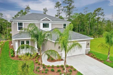 New construction Single-Family house 208 Hawthorn Avenue, Palm Coast, FL 32164 - photo 0