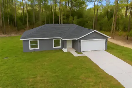 New construction Single-Family house 732 Sw Fig Tree Ln, Dunnellon, FL 34431 - image