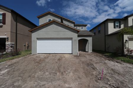 New construction Single-Family house 2601 Sunny Pebble Loop, Zephyrhills, FL 33540 Miralles- photo 50 50