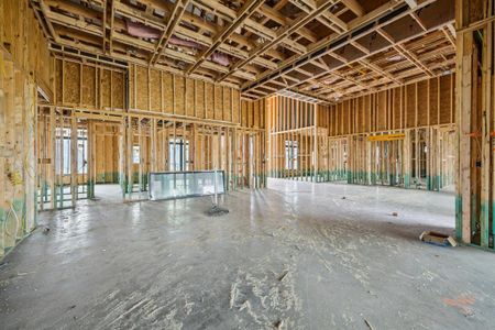 New construction Single-Family house 421 Calabrese Ct, Fairview, TX 75069 null- photo 10 10