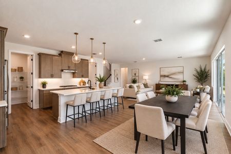 New construction Single-Family house 714 Emerald Grove Dr, Apopka, FL 32703 plan Paxton - image 6