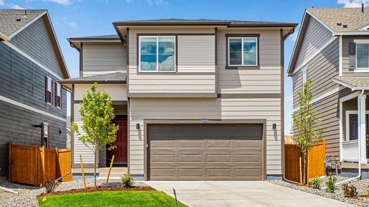 New construction Single-Family house 395 N Allium St, Watkins, CO 80137 plan Pine - image