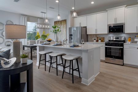 New construction Single-Family house 2011 Town Pasture Dr, Eustis, FL 32726 plan Bennet - image 10