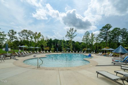 New construction Single-Family house 1401 Black Locust Ln, Fuquay Varina, NC 27526 null- photo 52 52