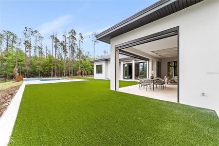 New construction Single-Family house 16989 Lucca Ln, Montverde, FL 34756 - image 3