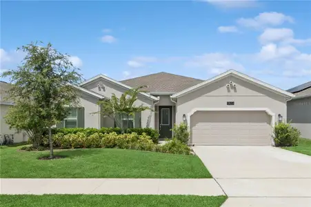 New construction Single-Family house 1823 Perch Hammock Lp, Groveland, FL 34736 - image