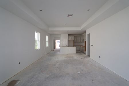 New construction Single-Family house 38413 Pindos Dr, Dade City, FL 33525 Picasso Bonus- photo 88 88