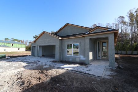 New construction Single-Family house 20339 Oriana Loop, Land O' Lakes, FL 34638 Newport II- photo 67 67