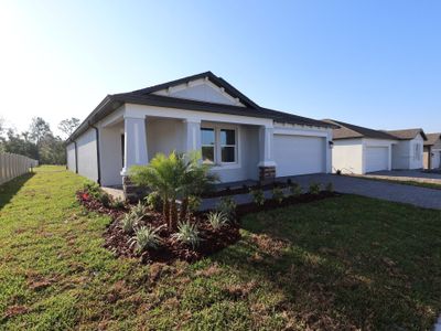 New construction Single-Family house 2928 Berry Coppice Pl, Wimauma, FL 33598 plan Elmhurst - image
