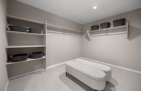 New construction Single-Family house 24690 N 166 Ave, Surprise, AZ 85387 plan Powderhorn - image 7