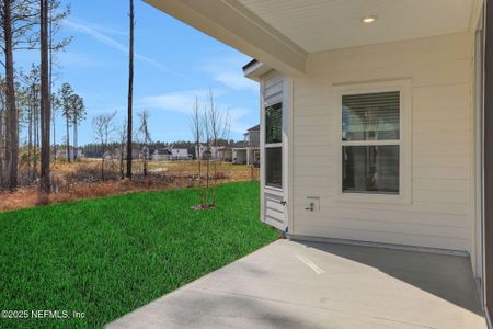 New construction Single-Family house 1168 Brook Forest Dr, St. Augustine, FL 32092 Vilano- photo 7 7