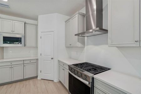 New construction Single-Family house 19689 Fort King Run, Brooksville, FL 34601 - image 12