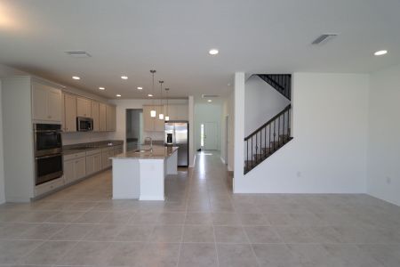 New construction Single-Family house 38433 Pindos Dr, Dade City, FL 33525 Mira Lago- photo 128 128