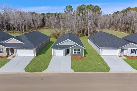 New construction Single-Family house 7091 Woodline Dr Sw, Sunset Beach, NC 28468 plan Vantage - image