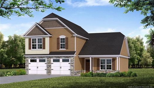 New construction Single-Family house 163 Laborde Ln, Raeford, NC 28376 - image