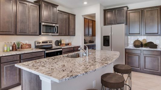 New construction Single-Family house 7548 Broad River Ave, Land O' Lakes, FL 34638 null- photo 5 5