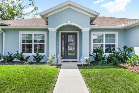 New construction Single-Family house 21 Wood Clift Ln, Palm Coast, FL 32164 - image