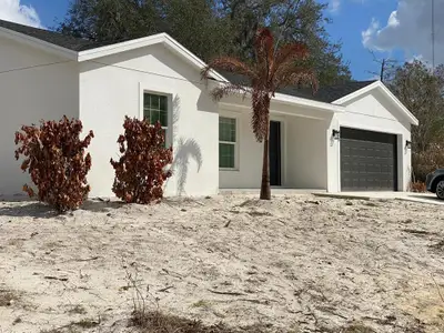 New construction Single-Family house 895 S Cedar Ave, Orange City, FL 32763 - image