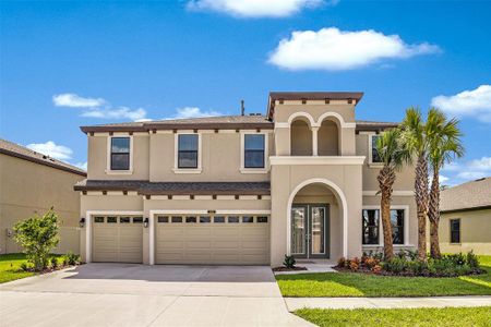 New construction Single-Family house 13183 Twin Bridges Drive, Riverview, FL 33579 Virginia Park- photo 0