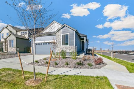 New construction Single-Family house 9383 Biscay St, Commerce City, CO 80022 - image