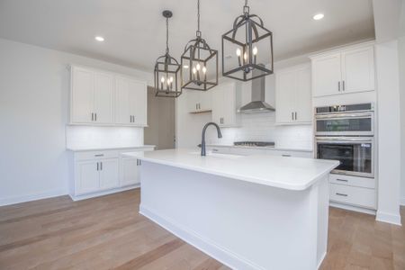 New construction Single-Family house 447 Ivey Farms Rd, Farragut, TN 37934 plan The Dogwood - image 9