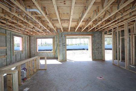 New construction Single-Family house 20015 Oriana Loop, Land O' Lakes, FL 34638 Coronado II- photo 22 22