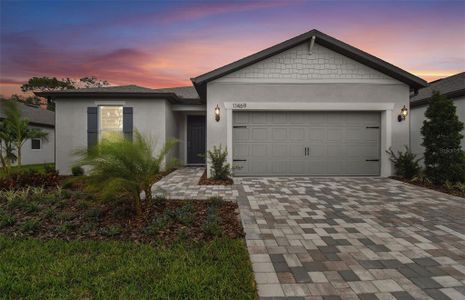 New construction Single-Family house 11469 Waterway Dr, Parrish, FL 34219 Mystique- photo 14 14