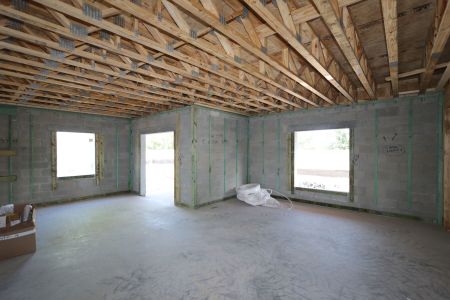 New construction Single-Family house 12134 Hilltop Farms Dr, Dade City, FL 33525 Malibu- photo 28 28