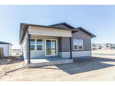 New construction Single-Family house 872 Trumpet Ct, Windsor, CO 80550 plan Christie - image 3