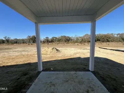 New construction Single-Family house 317 Creeks Edge Dr, Pikeville, NC 27863 - image