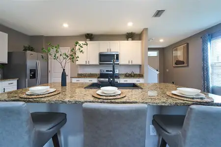 New construction Single-Family house 10826 Trailing Vine Dr, Tampa, FL 33610 null- photo 17 17
