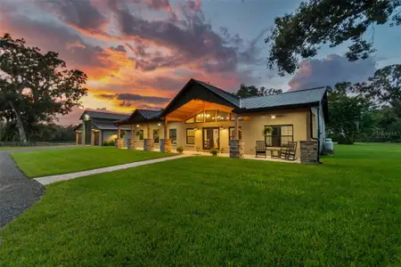 New construction Single-Family house 1517 Uncle Buds Ln, Lithia, FL 33547 - image