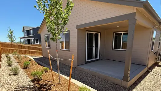 New construction Single-Family house 1454 Boyle St, Windsor, CO 80550 plan Charleston - image 3