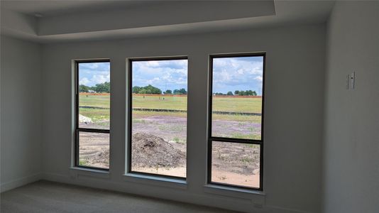 New construction Single-Family house 217 Scofield Ave, Georgetown, TX 78628 plan Ingram II - image 8