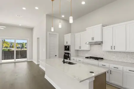 New construction Single-Family house 601 C-Bar Ranch Trl, Unit 59, Cedar Park, TX 78613 plan Cross Creek 2695 - image 13