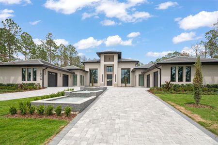 New construction Single-Family house 16320 Pendio Dr, Montverde, FL 34756 - image