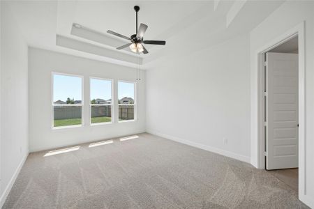 New construction Single-Family house 132 Cloverton Cres, Hutto, TX 78634 The Cameron- photo 10 10