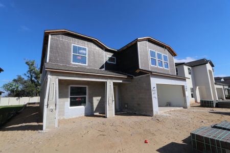 New construction Single-Family house 12146 Hilltop Farms Dr, Dade City, FL 33525 Cabo- photo 63 63