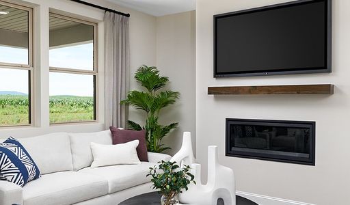 New construction Single-Family house 1683 Sugarbelle Cir, Mascotte, FL 34753 plan Elderberry - image 10