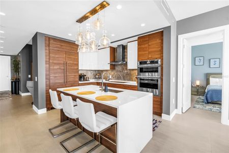 New construction Condo house 301 1St St S, Unit 2504, St. Petersburg, FL 33701 - image 12