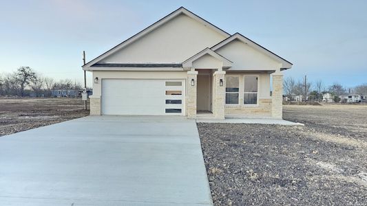 New construction Single-Family house 12611 Toro Dr, Atascosa, TX 78002 - image