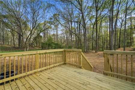 New construction Single-Family house 92 Holliday Rd, Franklin, GA 30240 - image