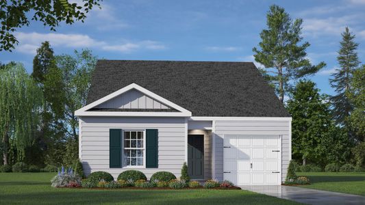 New construction Single-Family house St. James Way, Sanford, NC 27332 - photo 0